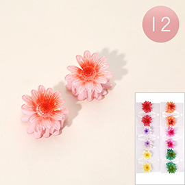 12 SET OF 2 - Floral Daisy Hair Claw Clip Set